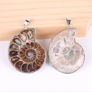 Colgante de conchas de amonita, abalorios de ágata para fabricación de collares, joyería al por mayor - Product Image 4
