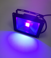 395nm UV a mené la lumière d'inondation 500w 50w 100w 200w 300w 1000w haute puissance extérieure lampe de projet de décoration