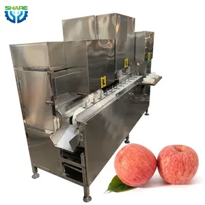 Automation Industrial Apple Slicer Electric Apple Peeler