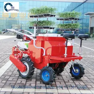 Double row tobacco cabbage vegetable seedling transplanter for sale price