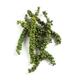 MEJOR PRECIO VENTA AL POR MAYOR DE VIETNAM Granos de pimienta negra 500g/l 550g/l 570g/l especias crudas 2025 - Product Image 5