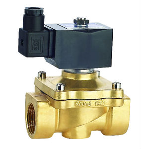 2W-15N pirinç su solenoit valfi