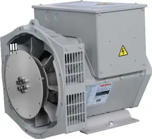 Générateur ca sans brosse monophasé 8.4kw/8.4kva