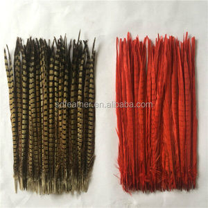 China proveedor barato plumas de <span class=keywords><strong>faisán</strong></span> del ringneck - Product Image 6
