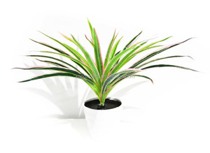 <span class=keywords><strong>En</strong></span> plastique artificielle grand vert <span class=keywords><strong>quitte</strong></span> la <span class=keywords><strong>maison</strong></span> décoration artificielle feuilles - Product Image 5