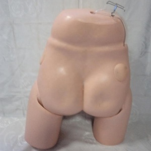 Khoa Học Y Tế Chất Lượng Cao Bộ Mô Phỏng Ống Thông Niệu Đạo Nữ Tiên Tiến Với Giá Nhà Máy Để Đào Tạo Y Tá - Product Image 4