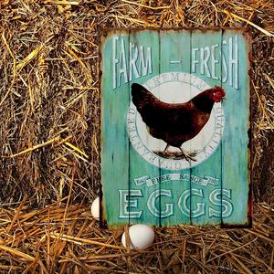 Country Home Plaque décorative en métal pour bar en étain-Farm Fresh Free Range Eggs <span class=keywords><strong>Retro</strong></span> <span class=keywords><strong>Vintage</strong></span> Painted Plaque - Product Image 4