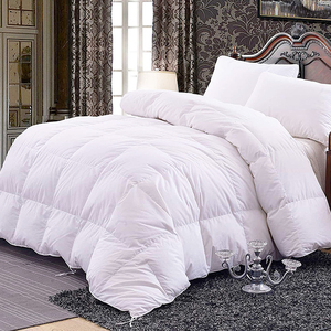 Hôtel chaud épais hiver couette housse de couette avec taie d'oreiller housse de couette literie - Product Image 1
