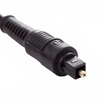 Entrée Audio numérique Optique De Fiber Câble Toslink