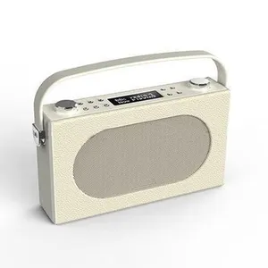 Radio numérique antique portable grenouillère, récepteur, dab + dab plus