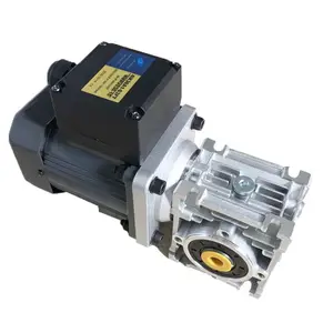 compact size worm gear motor ac