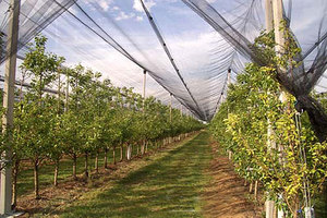 Machine de fabrication de filet à racines, pièces, monofilament PP de haute qualité - Product Image 5