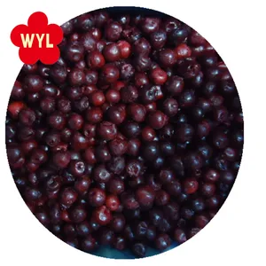 Iqf Fruit IQF Fruit Frozen Sour Cherry In Frozen Fruits