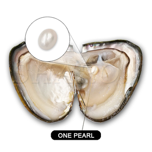 Cadeau surprise de fête, perles ovales de <span class=keywords><strong>culture</strong></span> d'eau douce de 6-7 mm, coquille d'huître - Product Image 1