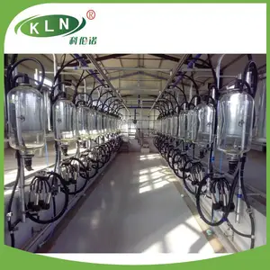 KLN fishbone type dairy farm milking parlor