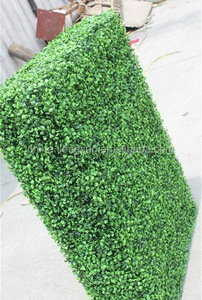 Fabricante directamente personalizada artificial boj decorativos cercas para <span class=keywords><strong>el</strong></span> jardín - Product Image 2