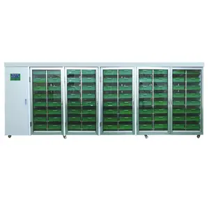 Soluciones <span class=keywords><strong>de</strong></span> 200 kg para el Cultivo Hidropónico <span class=keywords><strong>de</strong></span> Forraje <span class=keywords><strong>de</strong></span> Semillas <span class=keywords><strong>de</strong></span> Trigo |   Cámara <span class=keywords><strong>de</strong></span> germinación - Product Image 1