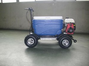 Factory Direct Sale <strong>Motorises</strong> Cooler Box Rideable Cooler <strong>Scooter</strong> for Picnic - Product Image 6