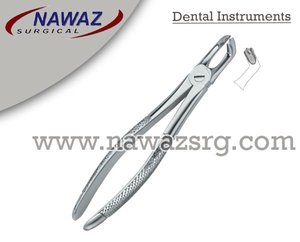 Forceps d'extraction de dents dentaires avec logo personnalisé d'excellente qualité Fig79 Instruments dentaires en acier inoxydable - Product Image 2
