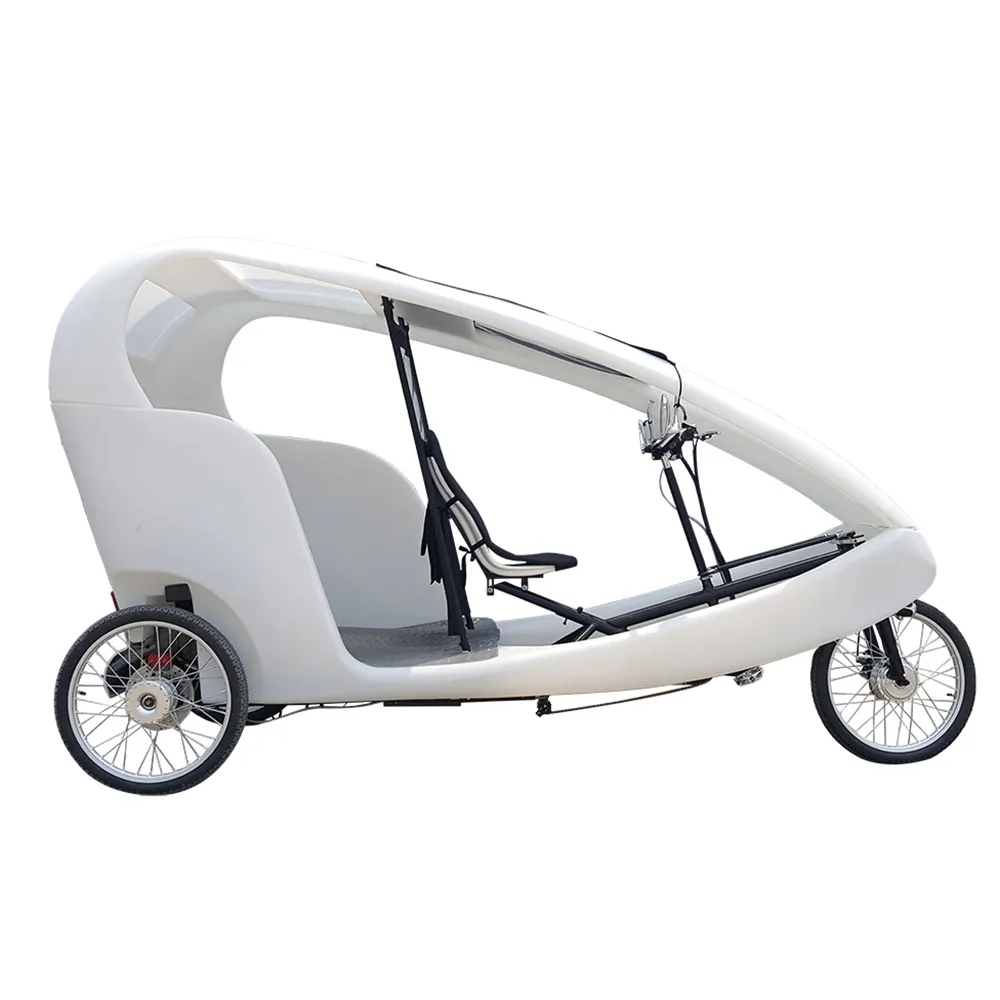 1000watt 3 Wheel Bike Taxi Car Pedicab Two Passenger Loading Cheap Adult Electric Tricycle Recumbent Trike