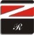 Shenzhen Zhenrong Plastic Co., Ltd. logo