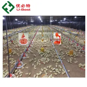 Modern Design Environmental Control Poultry House Chicken Farm Broiler Shed