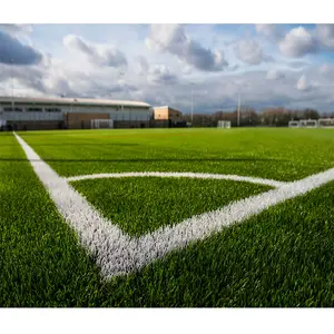 Outdoor Sample free dtex 8800 football pitch artificial grass fence