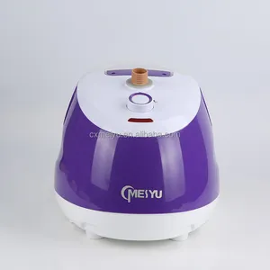 Upright Electric Steam Iron Garment Steamer