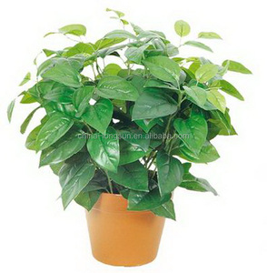 Vente en gros d'étoffes décoratives, fausses plantes en plastique haut <span class=keywords><strong>de</strong></span> gamme, épimpremnum Aureum, bonsaï, LS16070443 - Product Image 4