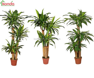 Plantas suculentas artificial/falso Árbol/árbol de los bonsai de plástico - Product Image 1