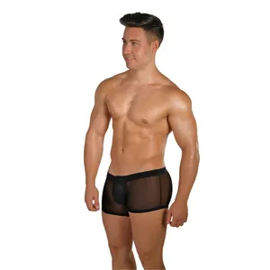 Popular products in usa mesh multiple colour Flat angle mens thong sexy underwear