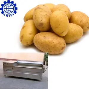 High quality root vegetable washing machine