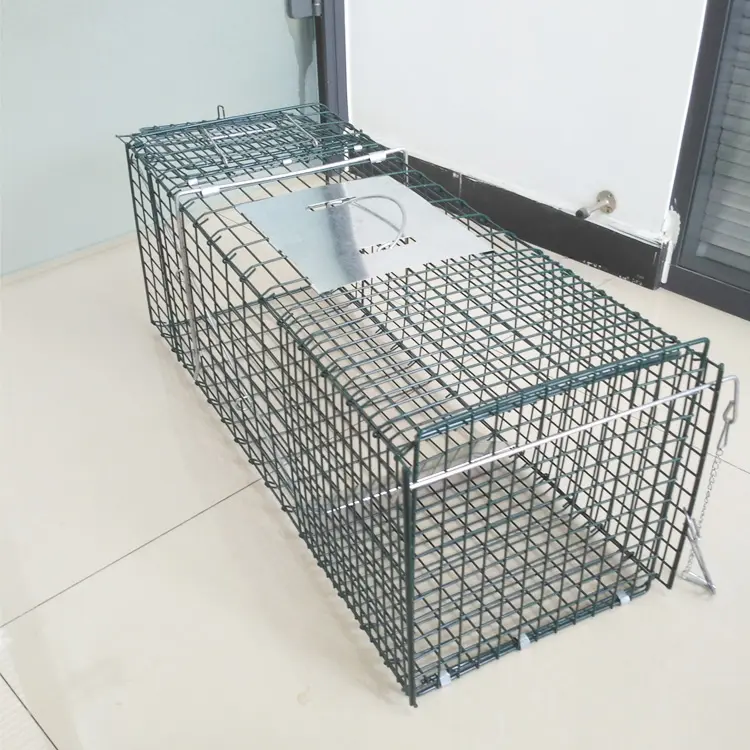 Wholesale high quality factory direct sale wild animal trap cage
