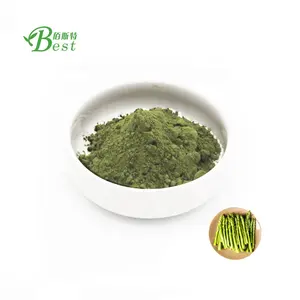 Hot selling Asparagus Root Extract Powder