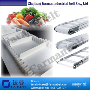 Pürüzlü Yüzey PVC Skid Konveyör bantlar Için Paketleme Makinesi - Product Image 5