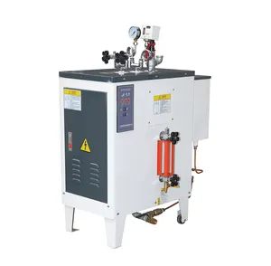 Best new design fully automatic electrically-heated mini steam boiler Clothing Processing