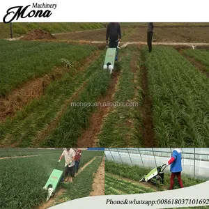 fragrant-flowered garlic /leek/chinese chives harvesting machine Celery harvester