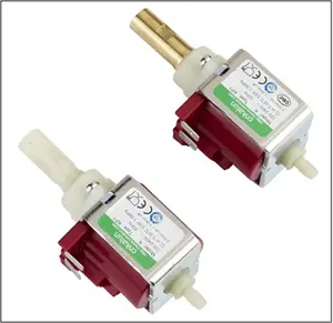 cnkalun high quality 24V steam cleaner Solenoid pump