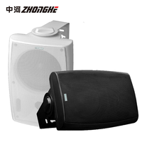 Système de sonorisation PA de haute qualité FT-206, haut-parleur mural pour applications audio dans les écoles et les salles de conférence