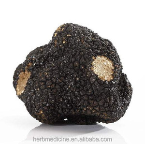 Trufa del Périgord, Hongo Precioso Comestible, Rebanadas Naturales de Tuber <span class=keywords><strong>Melanosporum</strong></span> - Product Image 3