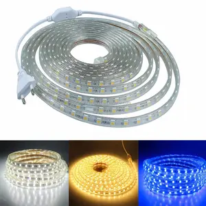 AC110v 220v Outdoor decoration rgb 5050 waterproof led strip light