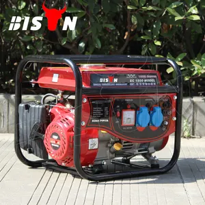 BISON (chine) BS1800 1000w, Mini générateur à Air, 1kw, Portable, essence