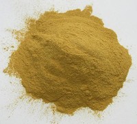 Ekstrak Herbal Bubuk Daun Damiana 4:1 8:1 20:1 50:1 Ekstraksi Pelarut Asal Cina Dikemas Vakum Botol Wadah Plastik CAN