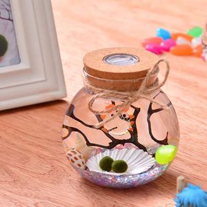 Vase de terrarium en forme de Globe avec lumière LED et couvercle en liège - Product Image 5
