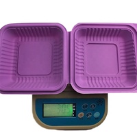 Econewleaf Composteerbaar Wegwerp Bento Box Biologisch Afbreekbaar Maïszetmeel Pla Lunchcontainer Clamshell Ontwerp Voor Voedselverpakkingen
