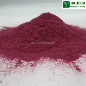 NSF-cGMP Factory Supply Red Beet Powder 1% Nitrate