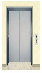 Fuji 450KG 6 Passenger Lift For Home VVVF Drive Gear Motor Luxury Cabin Elevator With LED Light