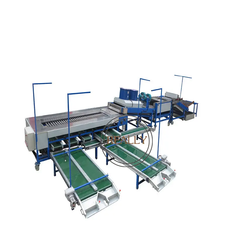 OEM Vegetable classifier and Cleaning machine fruit sorting machine Cherry strawberry grader