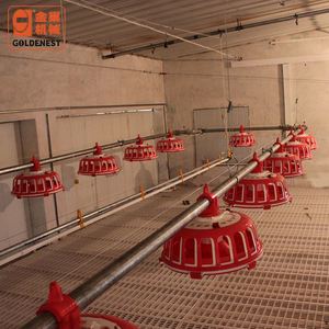 L'élevage <span class=keywords><strong>de</strong></span> poulets Femelle Éleveur Chaîne-Disque Pan Système D'alimentation pour Poulets <span class=keywords><strong>De</strong></span> Chair Éleveur Poules - Product Image 1