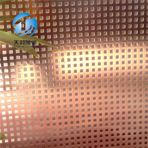 יריעת נחושת מחוררת מסך/צלחת/פאנל מתכת - Product Image 5